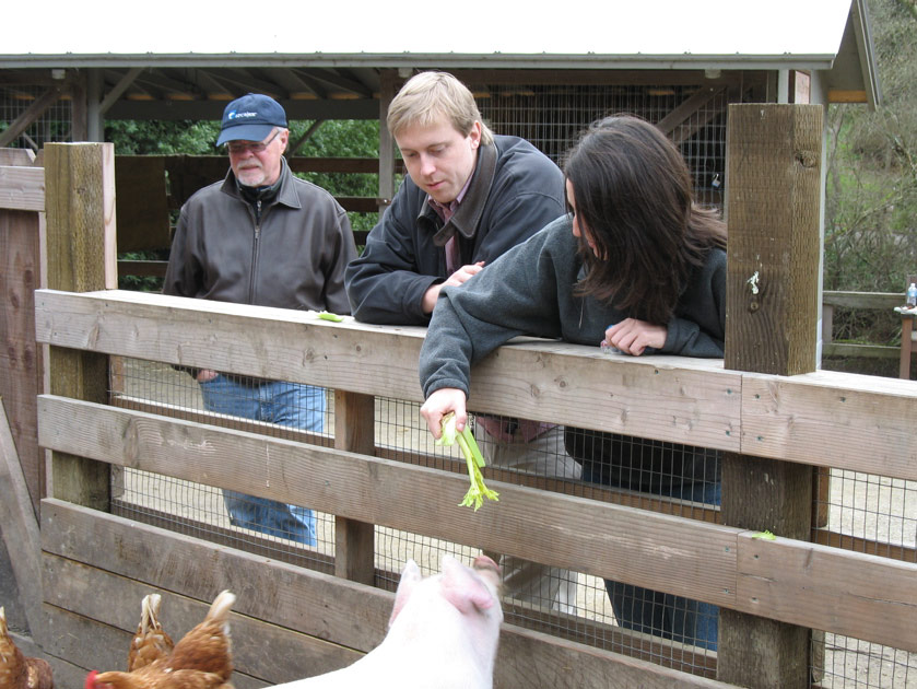 Jake and Julie feed a pig at the Tilden petting zoo