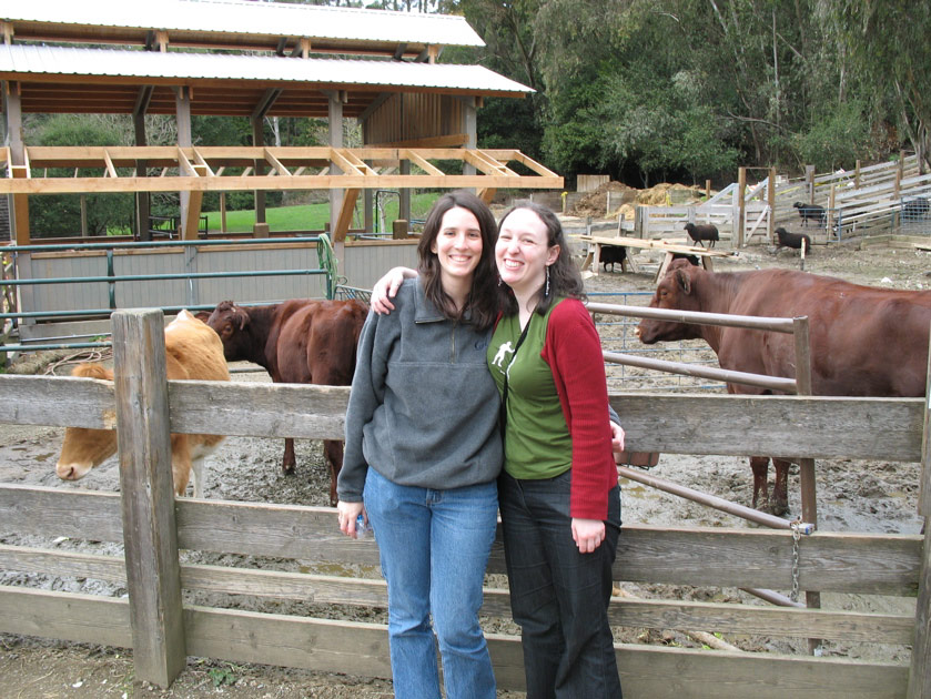 Julie and Sasha pose with the cows at the Tilden petting zoo