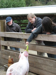 Jake and Julie feed a pig at the Tilden petting zoo