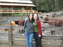 Julie and Sasha pose with the cows at the Tilden petting zoo