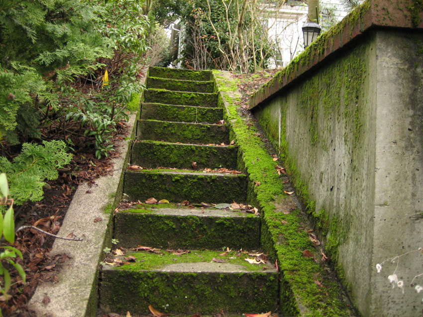 Stairs, Capitol Hill