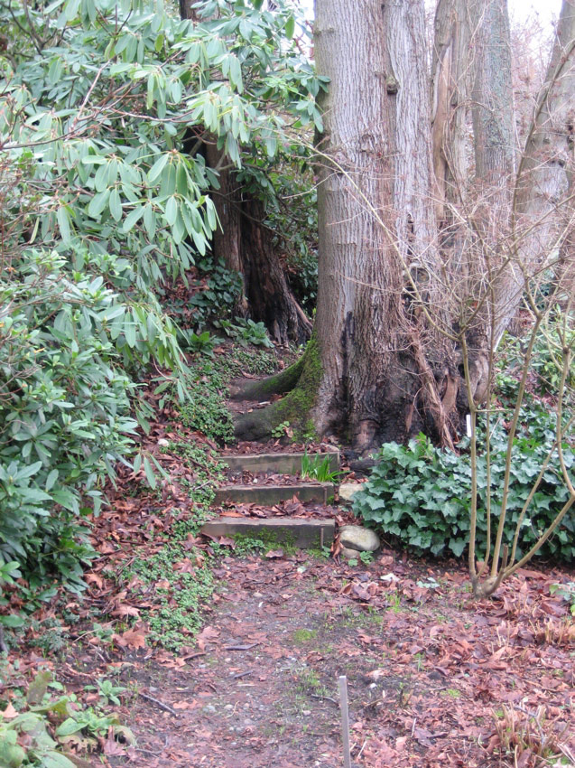 Hillside Garden