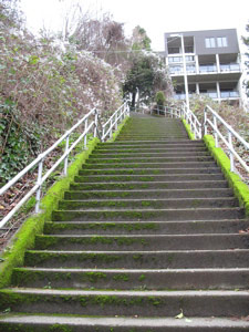 Stairs from Lakeview Boulevard to Broadway Avenue