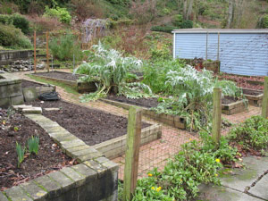 Garden on Broadway Avenue