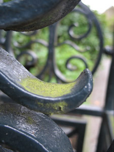 Ironwork at St. Mark's