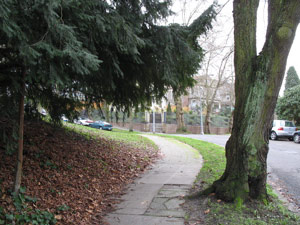 Edge of Volunteer Park, Capitol Hill