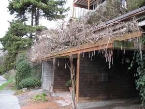 Pods and Garage, Broadway Avenue