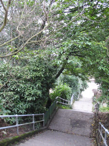 Hillside Stairs