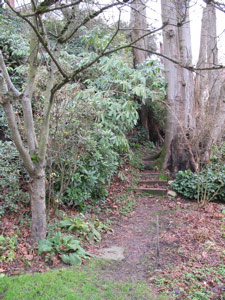 Hillside Garden