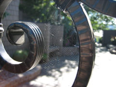 Ironwork and spiderweb on Eastlake Avenue