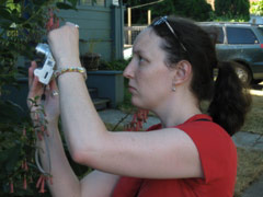 Sasha photographing