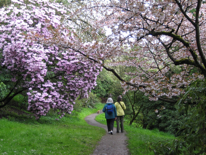 Arboretum