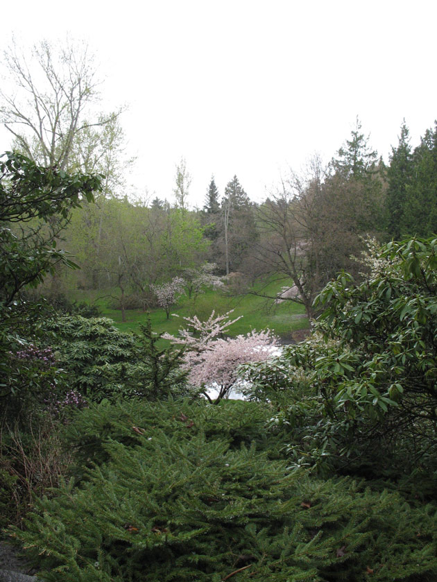 Arboretum