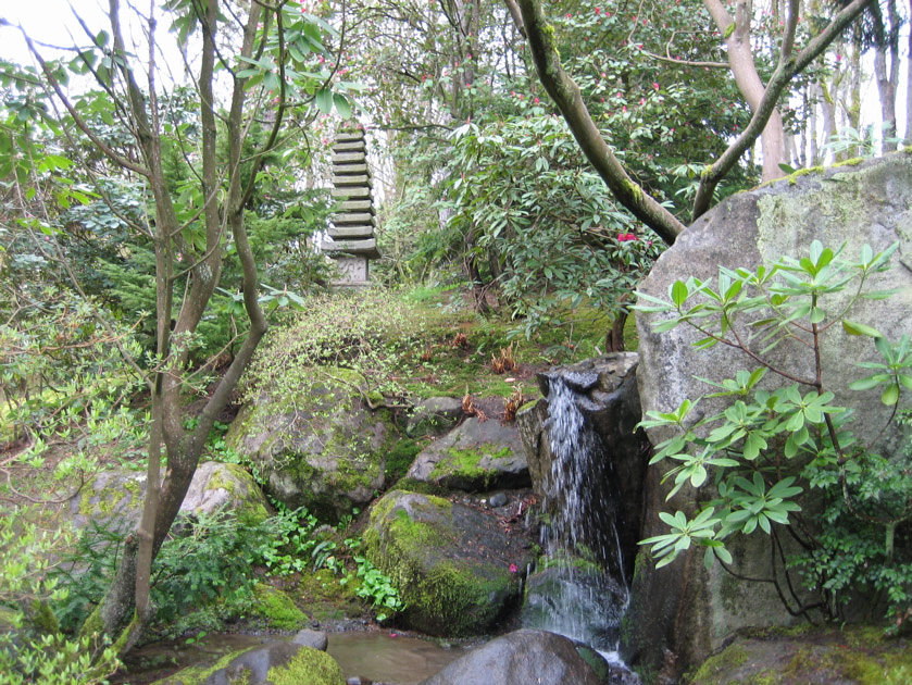 Japanese garden at the arboretum