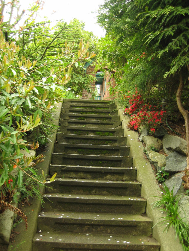 Stairs in Montlake