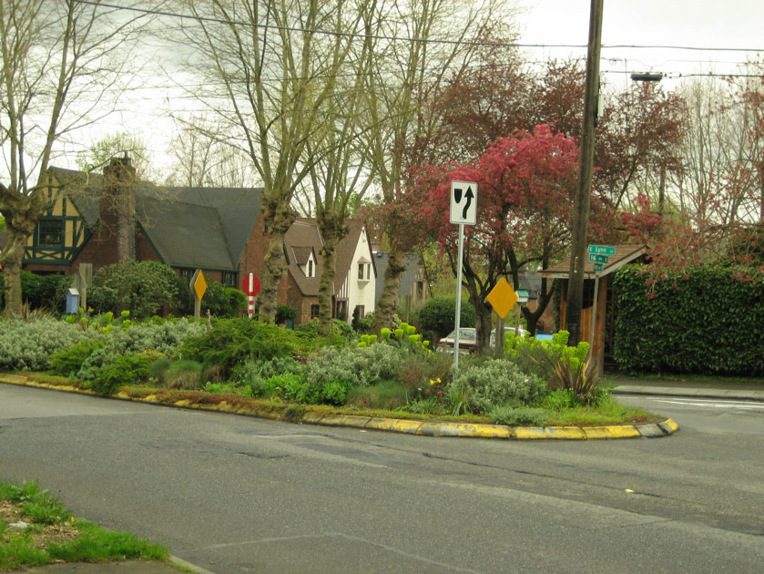 Street island in Montlake