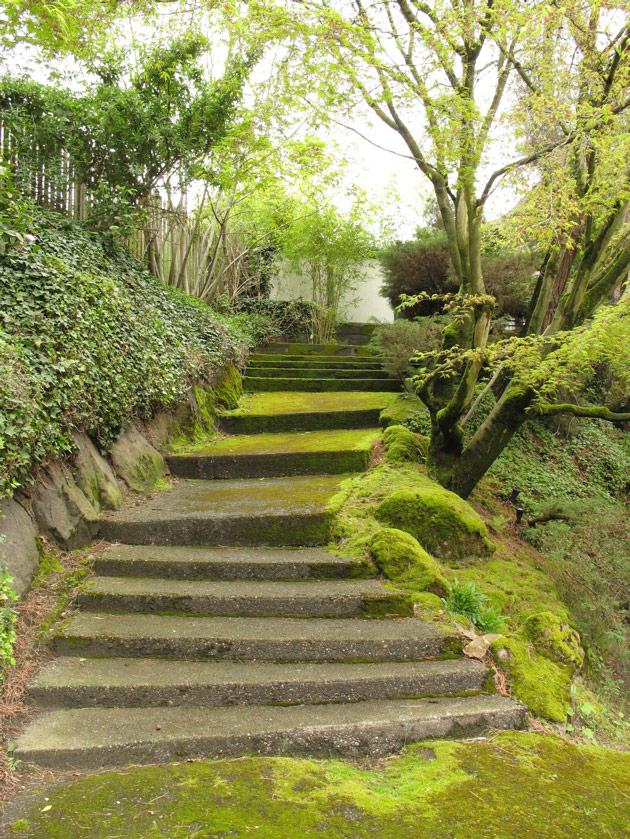 Stairs in Montlake