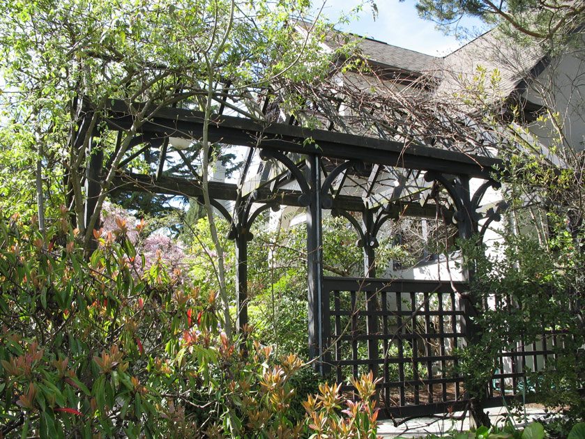 Trellis in Laurelhurst