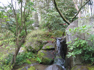 Japanese garden at the arboretum