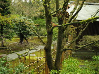 Japanese garden at the arboretum