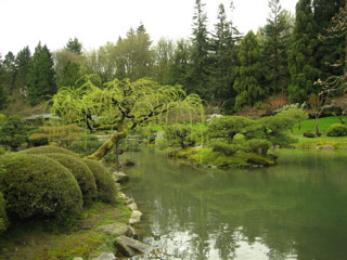 Japanese garden at the arboretum