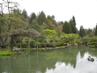 Japanese garden at the arboretum