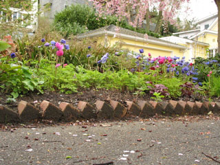 Garden in Montlake