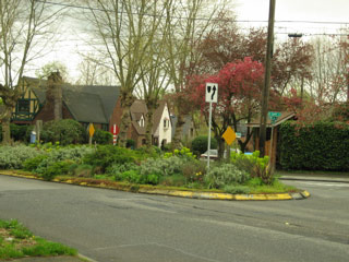 Street island in Montlake