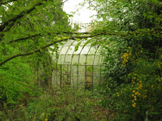 Old greenhouse in Montlake