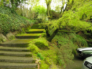 Stairs in Montlake