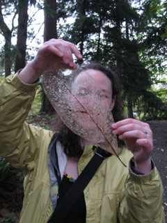 Skeleton leaf at the arboretum