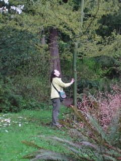 Sasha at the arboretum